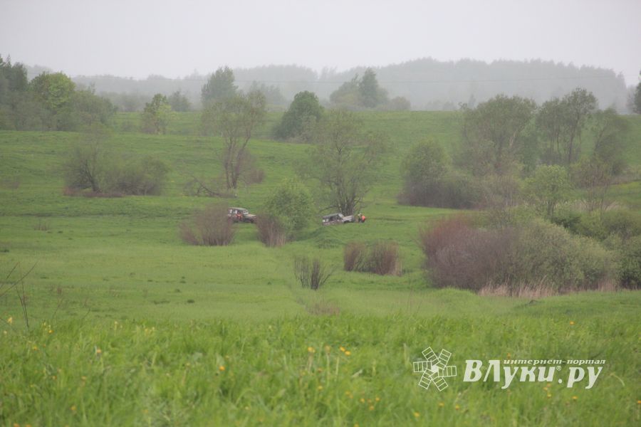 Кураж (ФОТО)