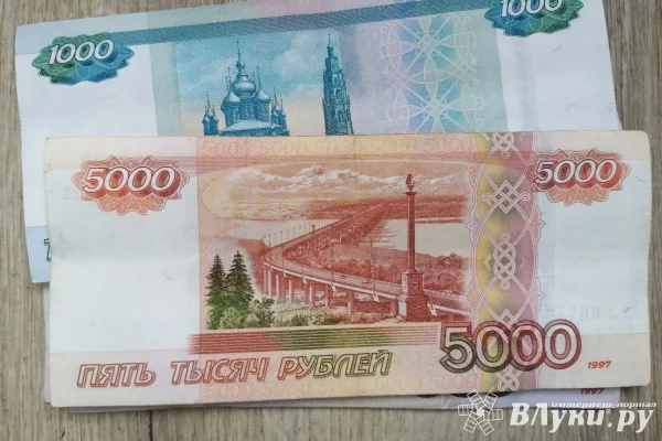 МВД напоминает о порядке и сроках погашения задолженности по уплате административных штрафов