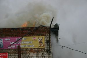 Неисправная печь в приюте для животных спровоцировала пожар
