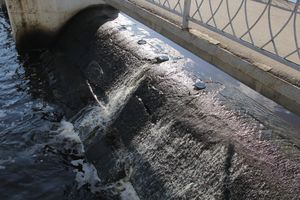 ​В Великих Луках обнаружили тело мужчины, который утонул 21 августа (ФОТО)