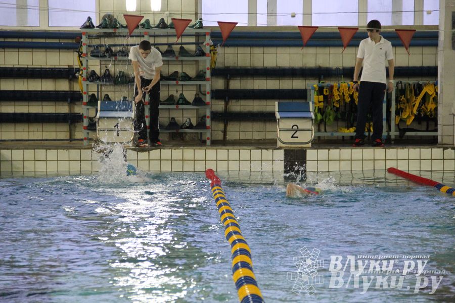 В Великих Луках прошло Первенство по плаванию (фото)
