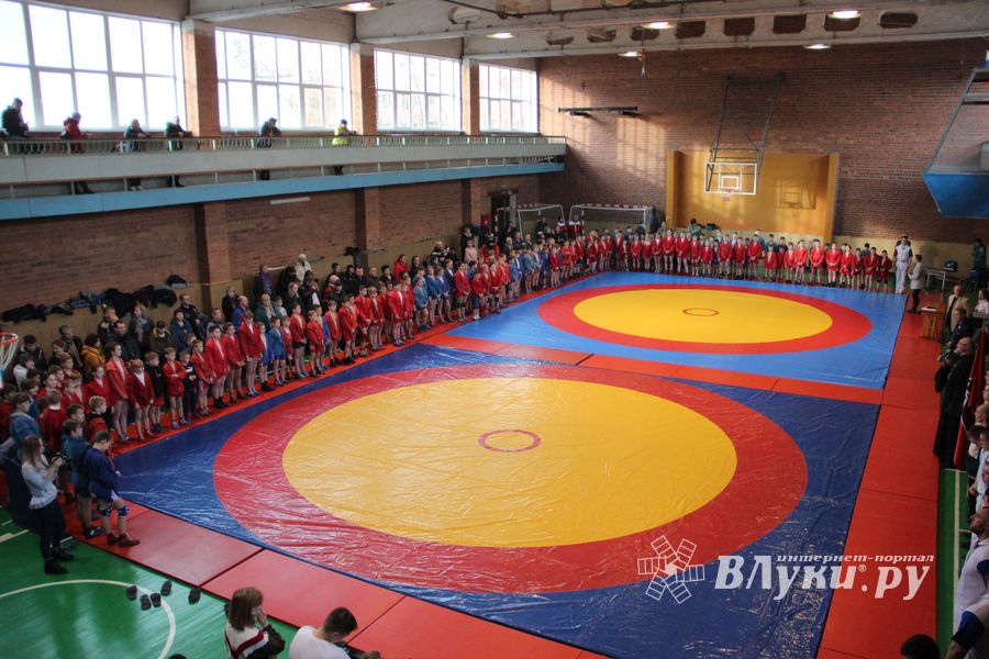 Великолучане завоевали награды турнира по самбо «Память» (ФОТО)