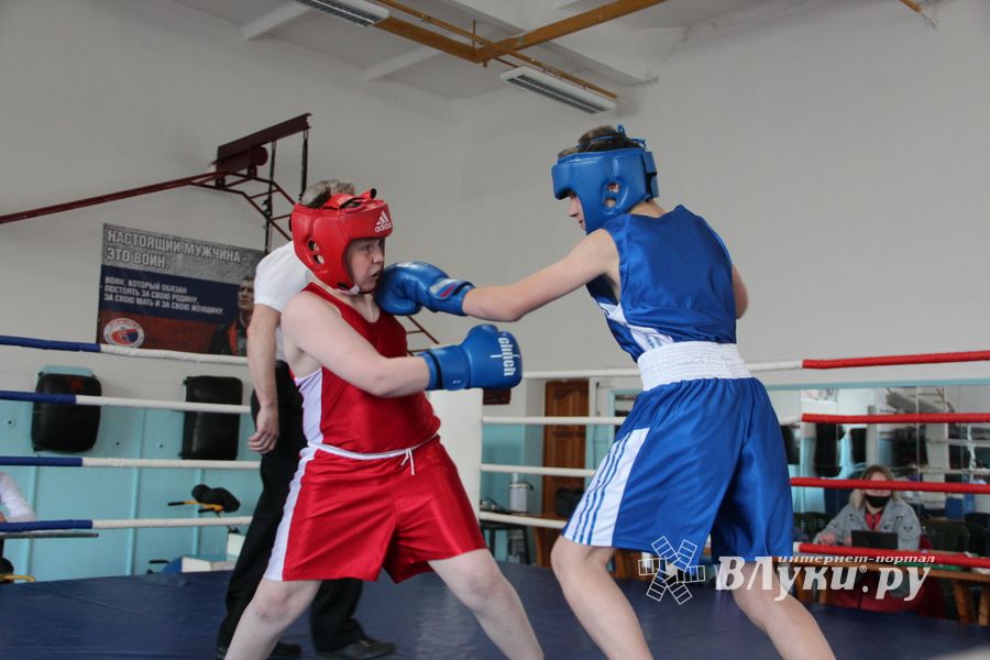 В Великих Луках завершился открытый турнир по боксу (ФОТО)