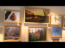 Импульс-ТВ: Выставка фоторабот Ю. Андреева