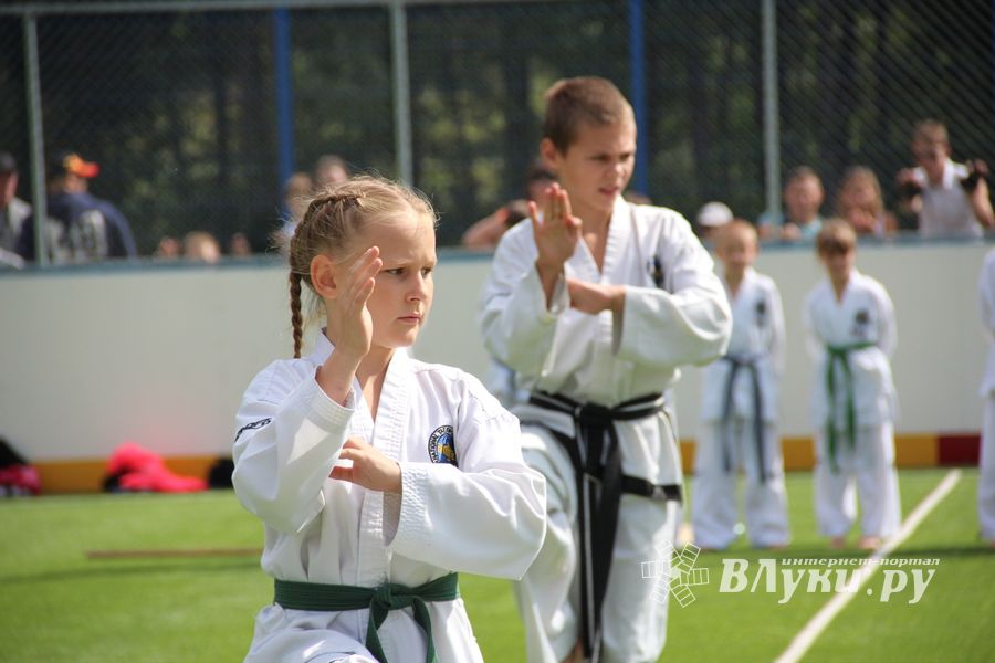 День спорта в День города: сила, мужество и грация (ФОТО)