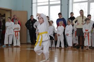 В Великих Луках прошел  турнир по Шотокан каратэ