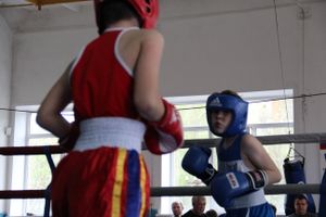 В Великих Луках прошло Первенство города по боксу (ФОТО)