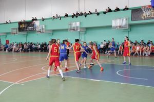 В Великих Луках прошел чемпионат по баскетболу