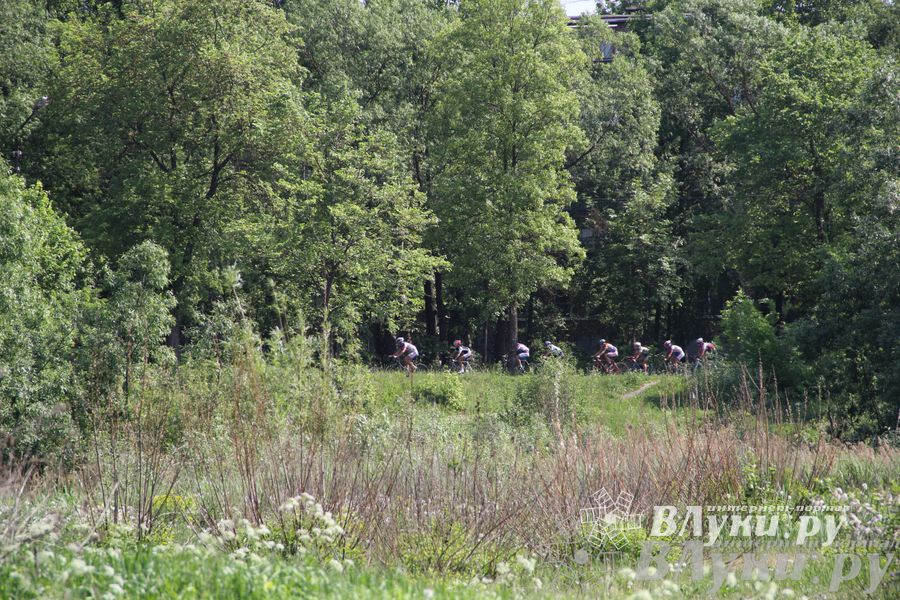 Первенство Псковской области по велогонкам