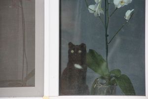 Ремонт прошел, а что осталось? (ФОТО)