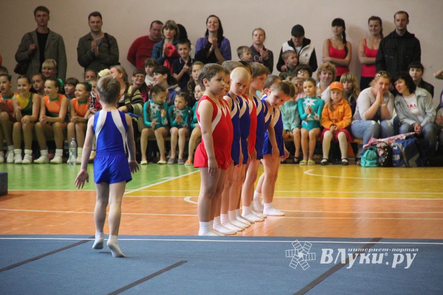 Парад гимнастики