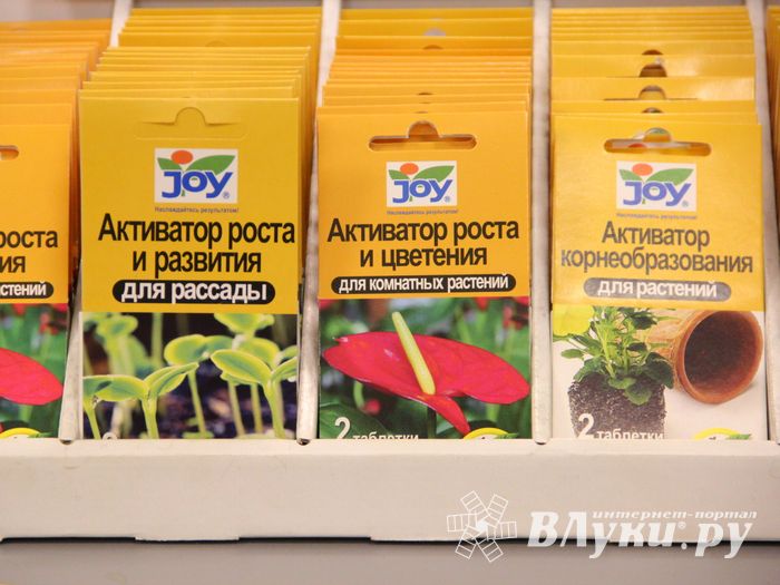 В ДК ЛК открылась 7-я Великолукская универсальная выставка (ФОТО, ВИДЕО)