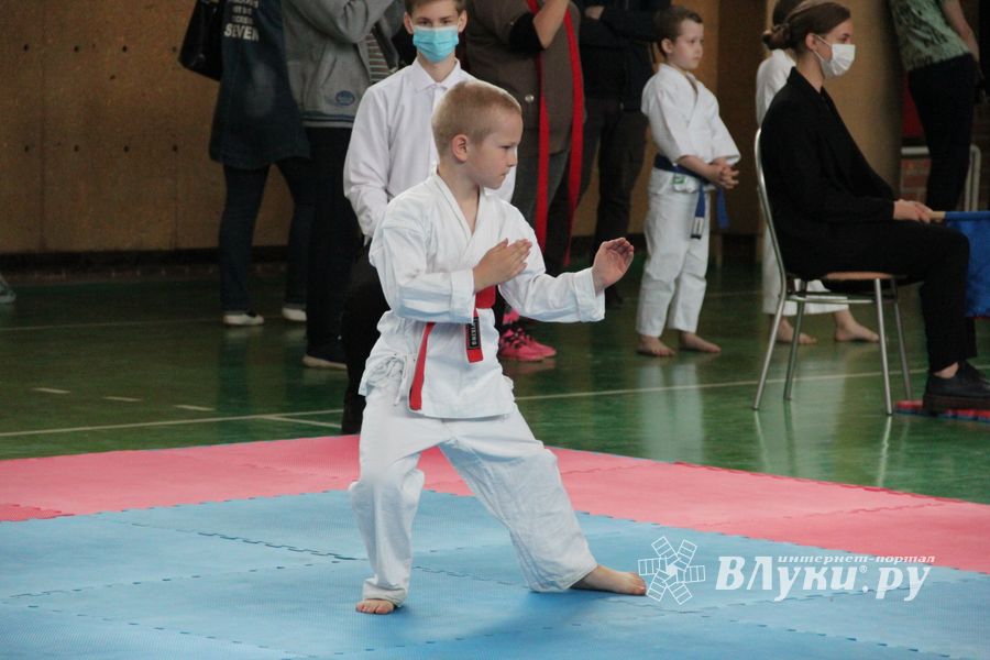 Открытый Кубок города Великие Луки по каратэ WKF (ФОТО)