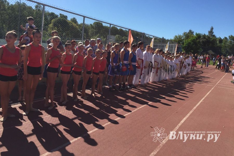 Спортивно-массовые мероприятия в честь Дня города (ФОТО)