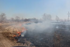 Великолукский район полыхает (ФОТО; ВИДЕО)