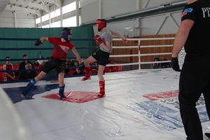 В Великих Луках завершился открытый кубок по смешанному боевому единоборству ММА (ФОТО)