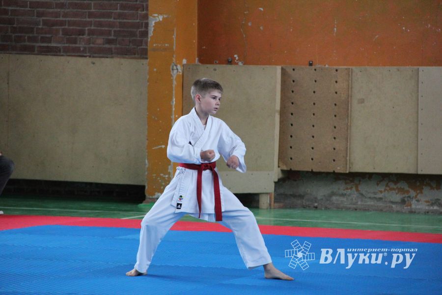 Открытый Кубок города Великие Луки по каратэ WKF (ФОТО)