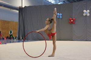 В Великих Луках прошли соревнования на Кубок Псковской области по художественной гимнастике (ФОТО)