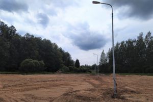 В парке «Петровском» появляются пешеходные дорожки (ФОТО)