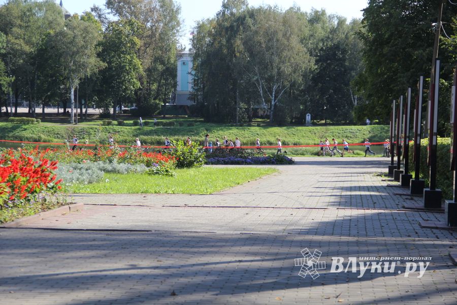 В Великих Луках прошёл «Кросс Нации-2018» (ФОТО)