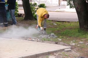 В Великих Луках сажают, стригут и красят (ФОТО)