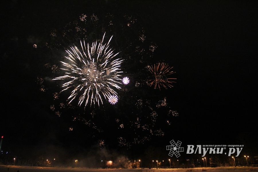 В Великих Луках зажглась новогодная ёлка (ФОТО)