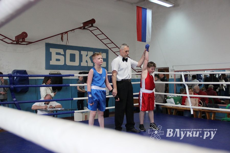 Юные великолучане выявили сильнейших боксёров (ФОТО)