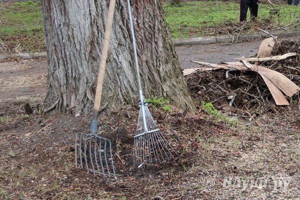 В Великих Луках проводится осенний месячник по благоустройству территории