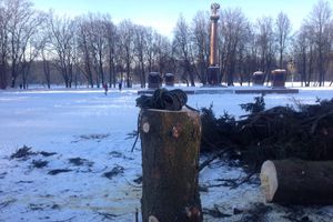 Главная ёлка города попрощалась с великолучанами (ФОТО)