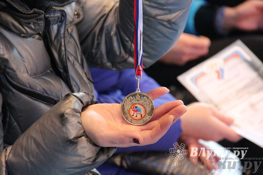 состоялось Открытое первенство города Великие Луки по борьбе самбо