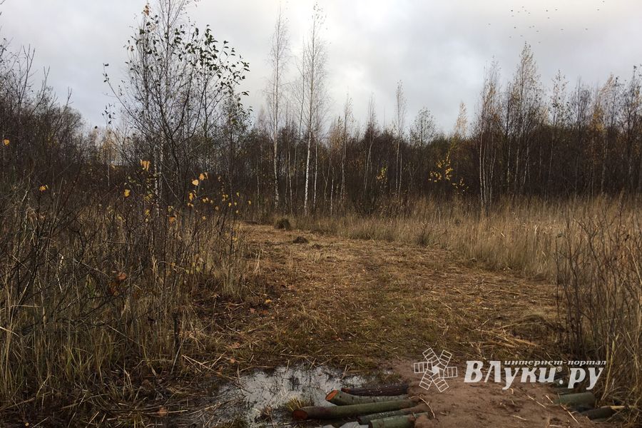 Переслегинские ребята сгибают «Подкову» (ФОТО)