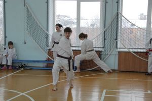 В Великих Луках прошел  турнир по Шотокан каратэ