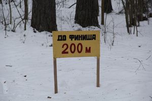 В Великолукском районе прошли соревнования по спортивному ориентированию на лыжах (фото)