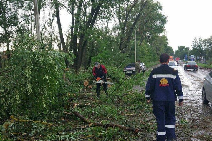 Ураган в Псковской области валил деревья и срывал крыши (ФОТО)