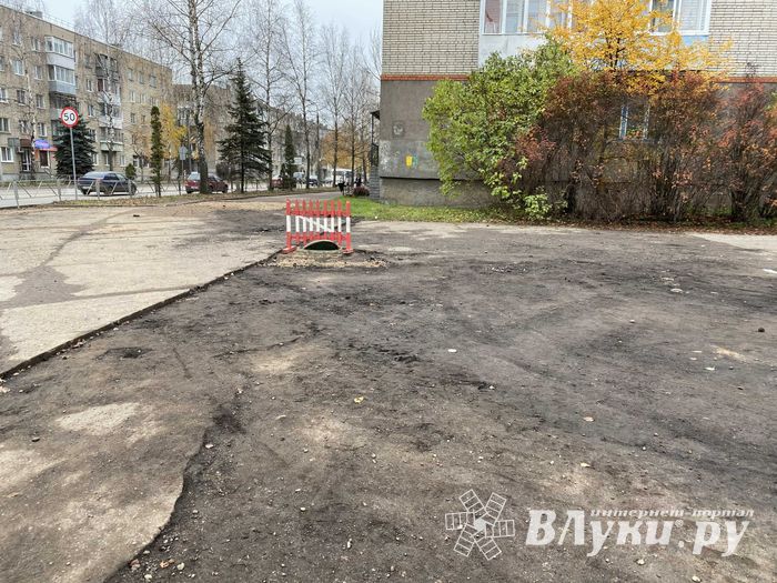 Пешеходам-великолучанам советуют не пользоваться смартфонами (ФОТО)