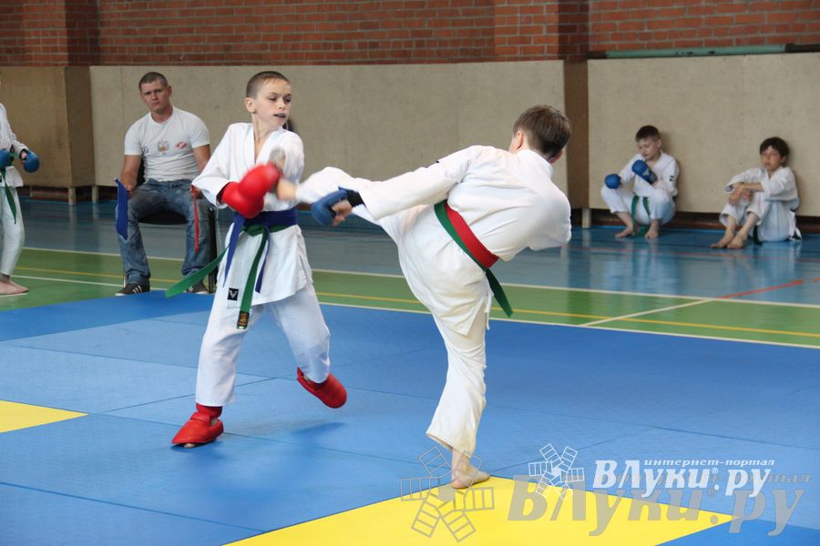 Турнир по каратэ «Неприкосновенный запас — дети Отчизны»