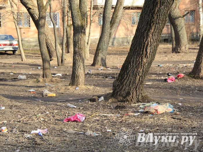 Город в ожидании субботника