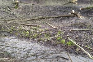 В Великих Луках приступили к строительству парка «Петровский» (ФОТО)