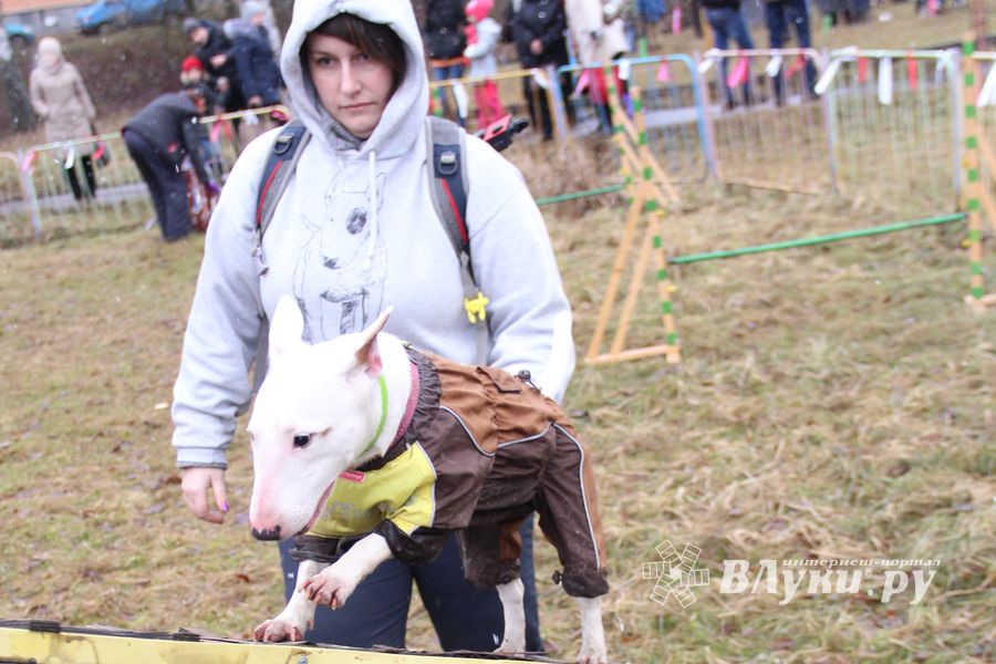 В Великих Луках сожгли Масленицу (фото)