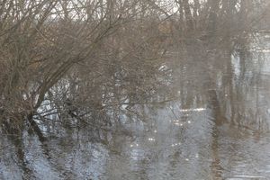 В Великих Луках продолжаются поиски мужчины, пропавшего 9 марта (ФОТО)