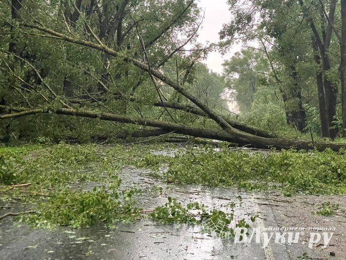 Весь ужас вчерашнего урагана в Великих Луках и районе (ФОТО, ВИДЕО)