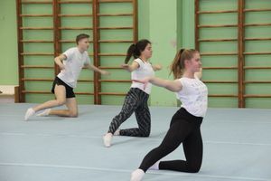 В Великих Луках проходят соревнования по гимнастике (ФОТО)
