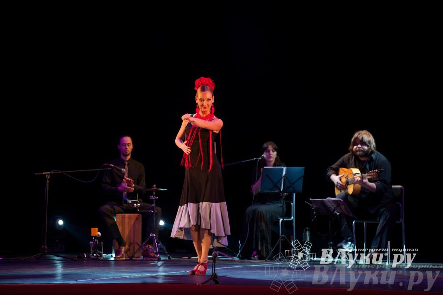 В великих Луках выступил московский коллектив фламенко