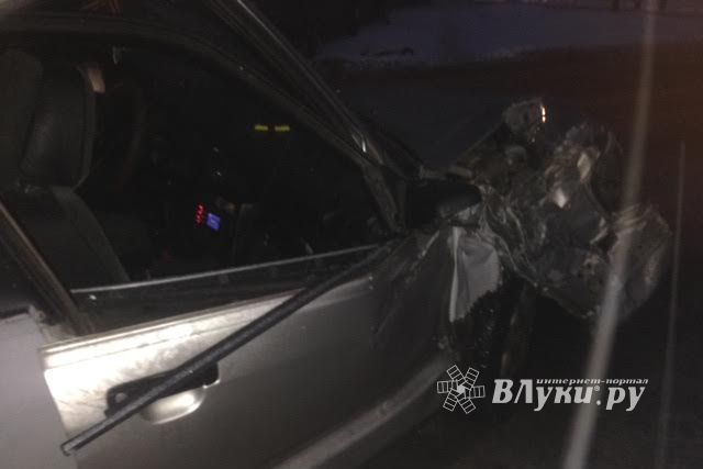 В Великих Луках неизвестный водитель врезался в дерево (ФОТО)