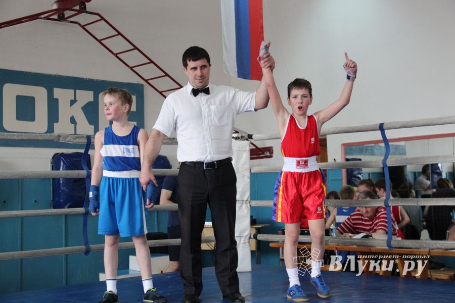 В Великих Луках прошло Первенство города по боксу (ФОТО)