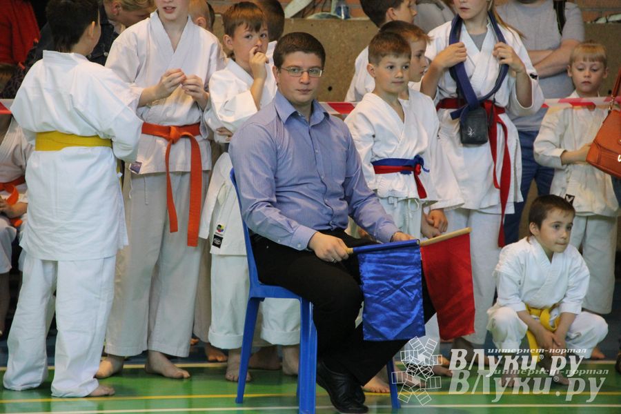 Великолучане стали победителями турнира по каратэ «Неприкосновенный запас, дети — Отчизны 2015» (фото)