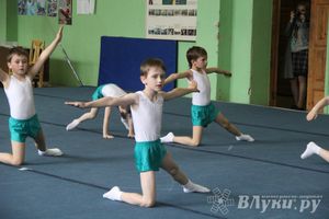 В Великих Луках состоялось Первенство по командной гимнастике (фото)