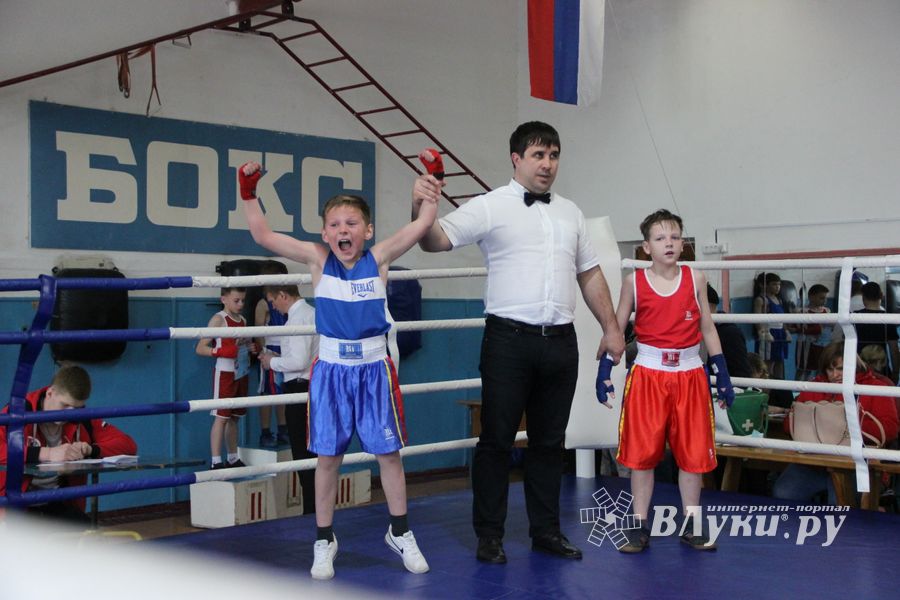 Юные великолучане выявили сильнейших боксёров (ФОТО)