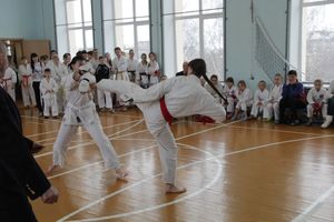 В Великих Луках прошел  турнир по Шотокан каратэ