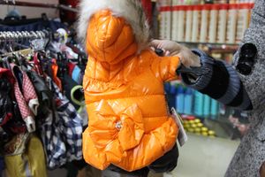 «Zooбастики»: подарите праздник своим любимцам! (ФОТО+ВИДЕО)